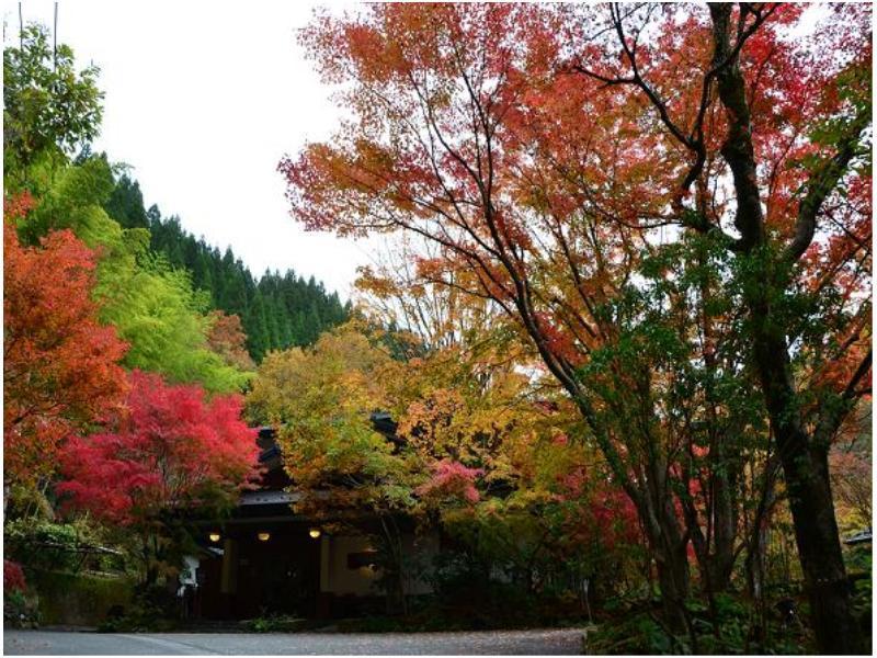 Ryokan Okunoyu Minamioguni Exterior photo